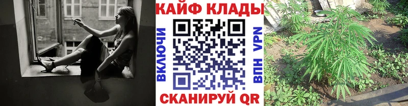Купить наркотики сайты Кимры Галлюциногенные грибы  Амфетамин  COCAIN  Гашиш  Бошки Шишки  МЕФ  APVP 