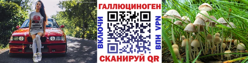 Галлюциногенные грибы Psilocybine cubensis  где продают   Кимры 